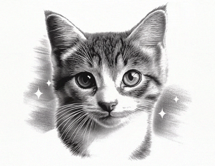 Croquetas para gatos