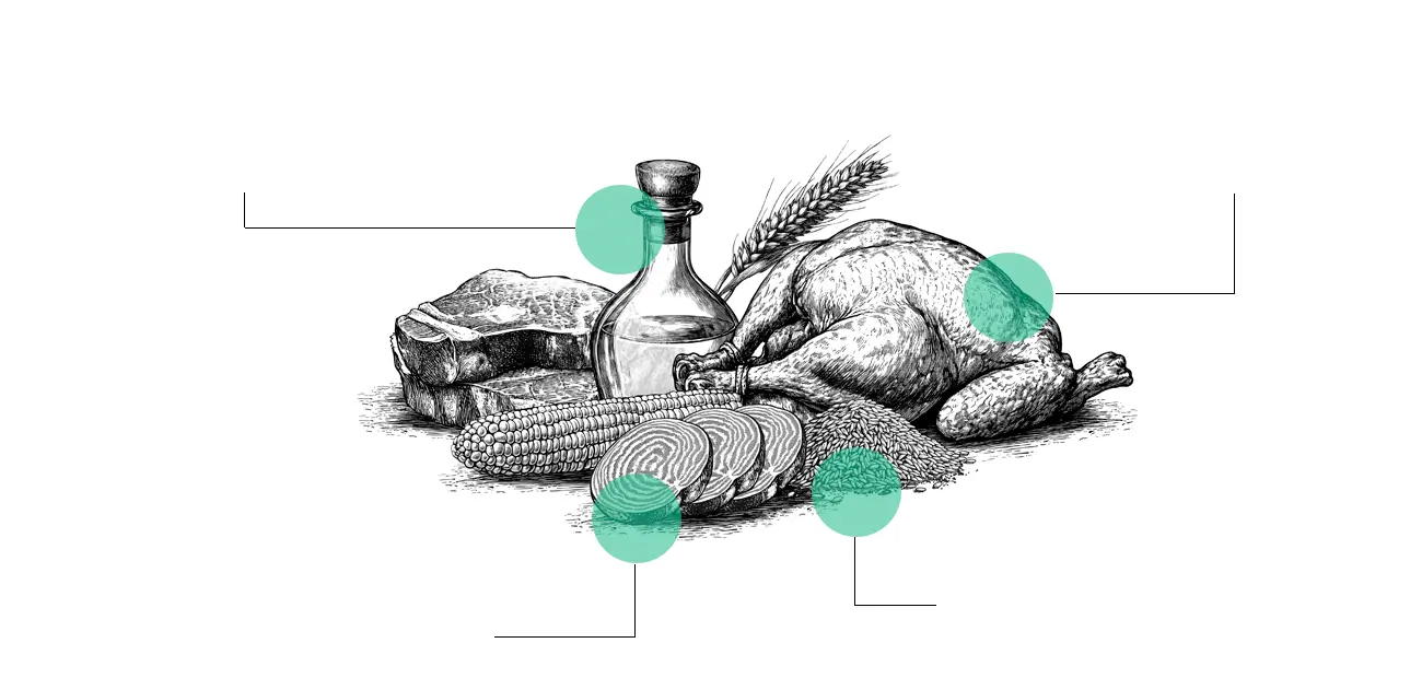 infografia beneficios de alimento
