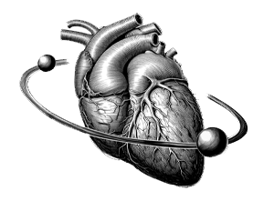 imagen ilustrativa beneficios