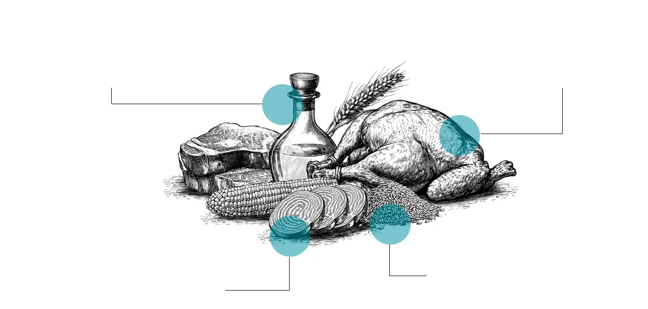 infografia beneficios de alimento