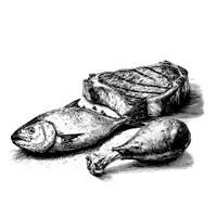 tabla1_perro_adulto
