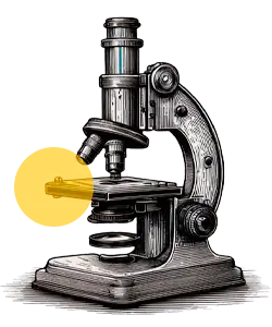 imagen decorativa de formula que nutre